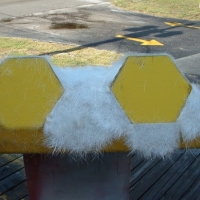 Image for 