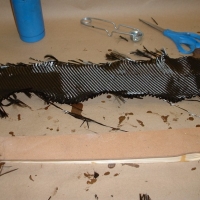 Image for 