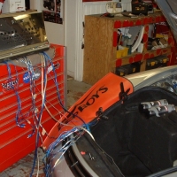 Image for 