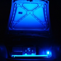 Image for 