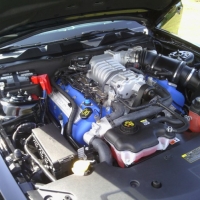 Image for 