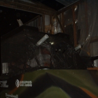 Image for 
