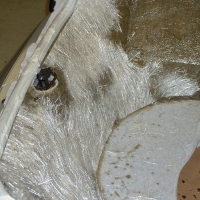 Image for 