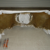 Image for 