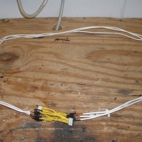 Image for 
