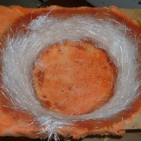 Image for 