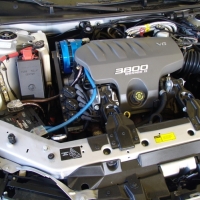 Image for 