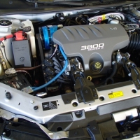 Image for 
