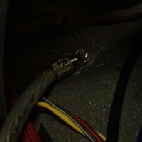 Image for 