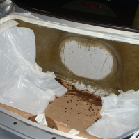 Image for 