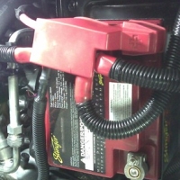 Image for 