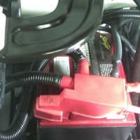 Image for 