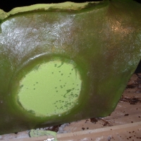 Image for 