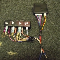 Image for 