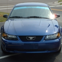 Image for 