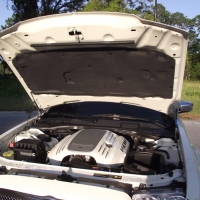 Image for 