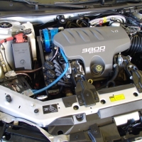 Image for 