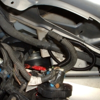 Image for 