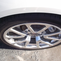 Image for 