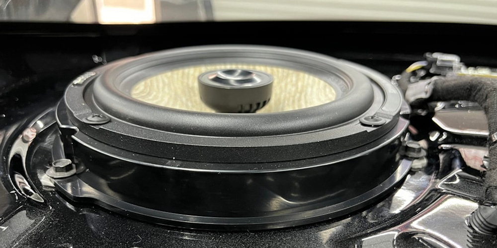 Image Of Speaker